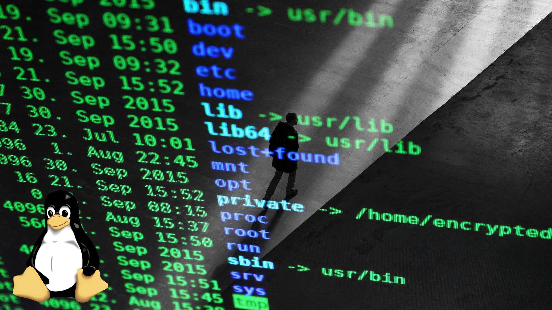 Linux Code Standards Define AI Boundaries