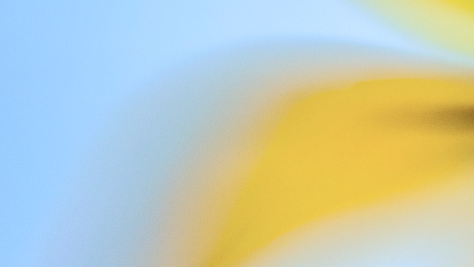 OpenAI's Signing Certificate Compromise and Supply Chain Fallout